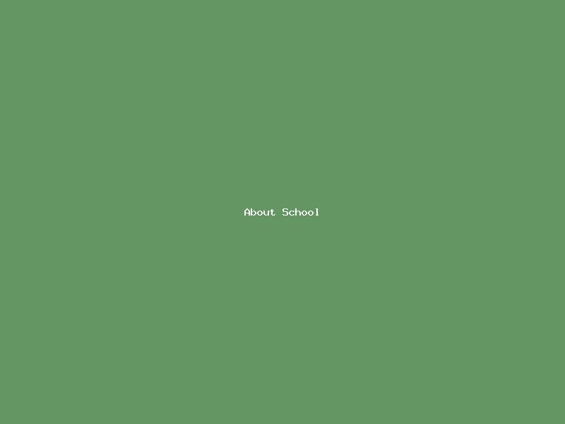 About TA'ALEEM GROUP OF SCHOOLS